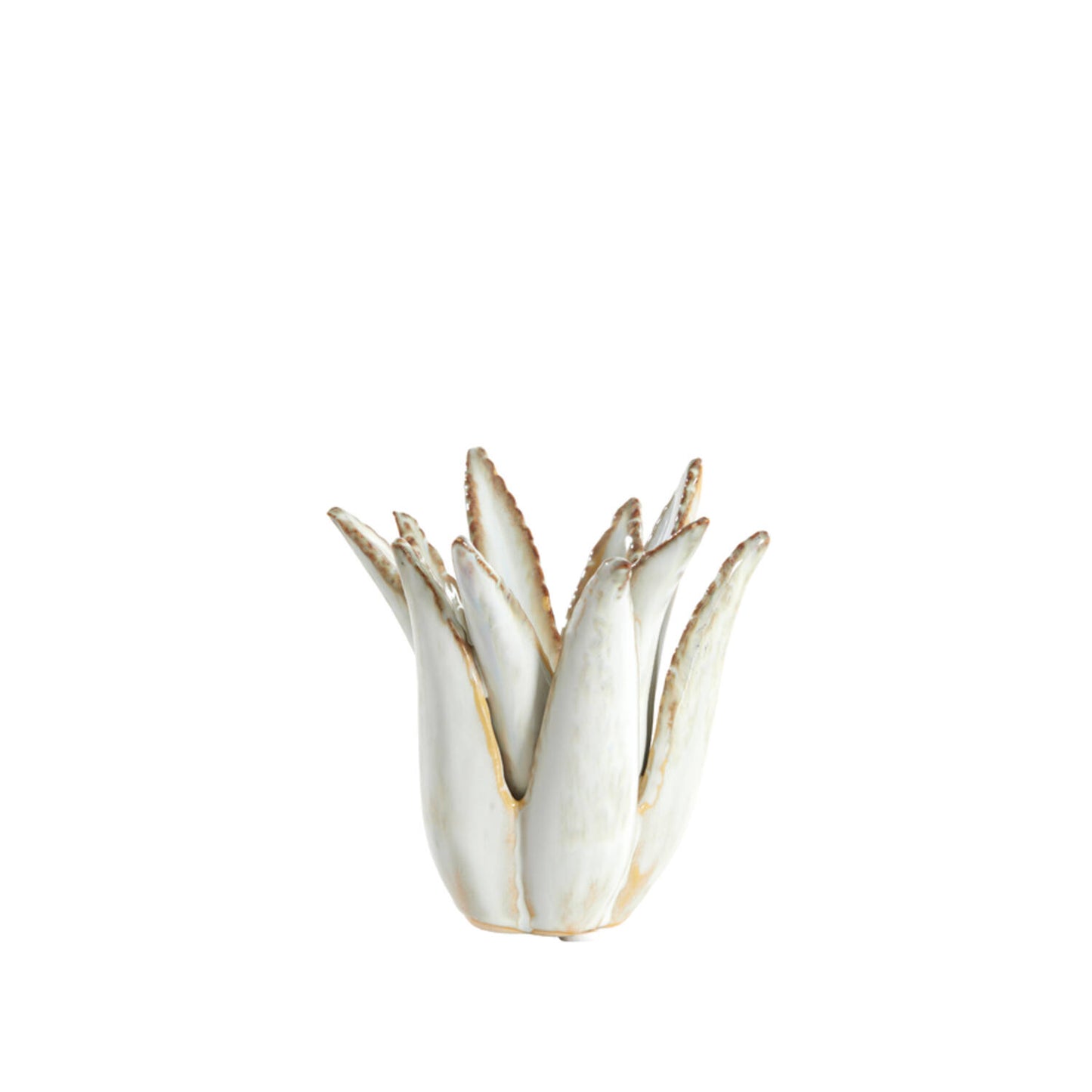cactus candle crème