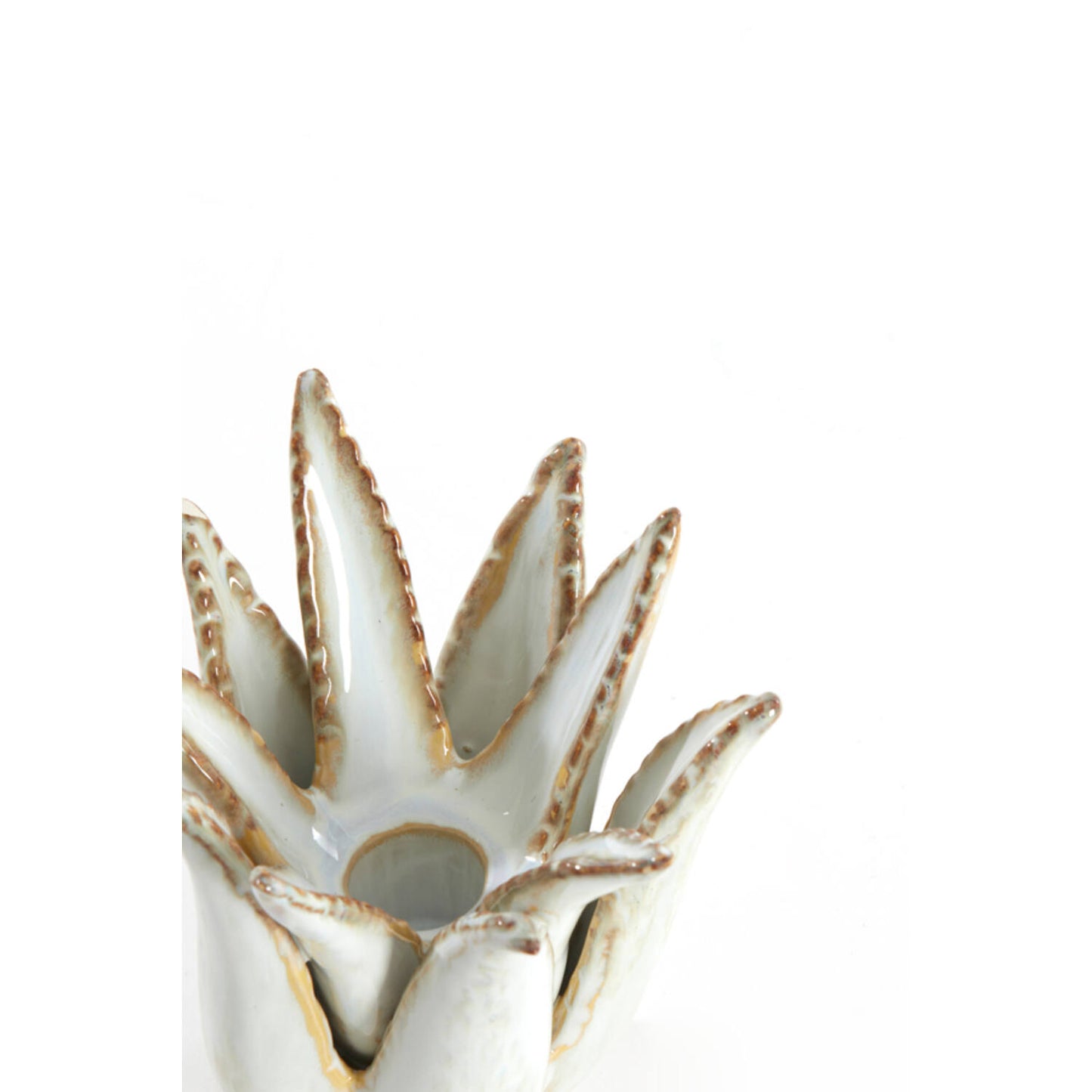 cactus candle crème