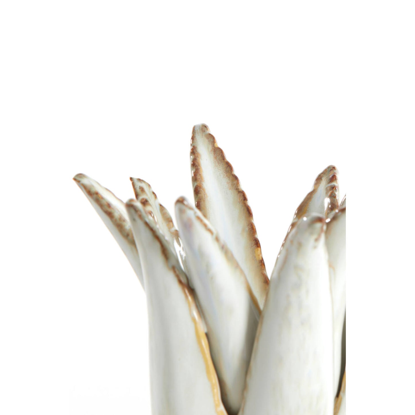 cactus candle crème