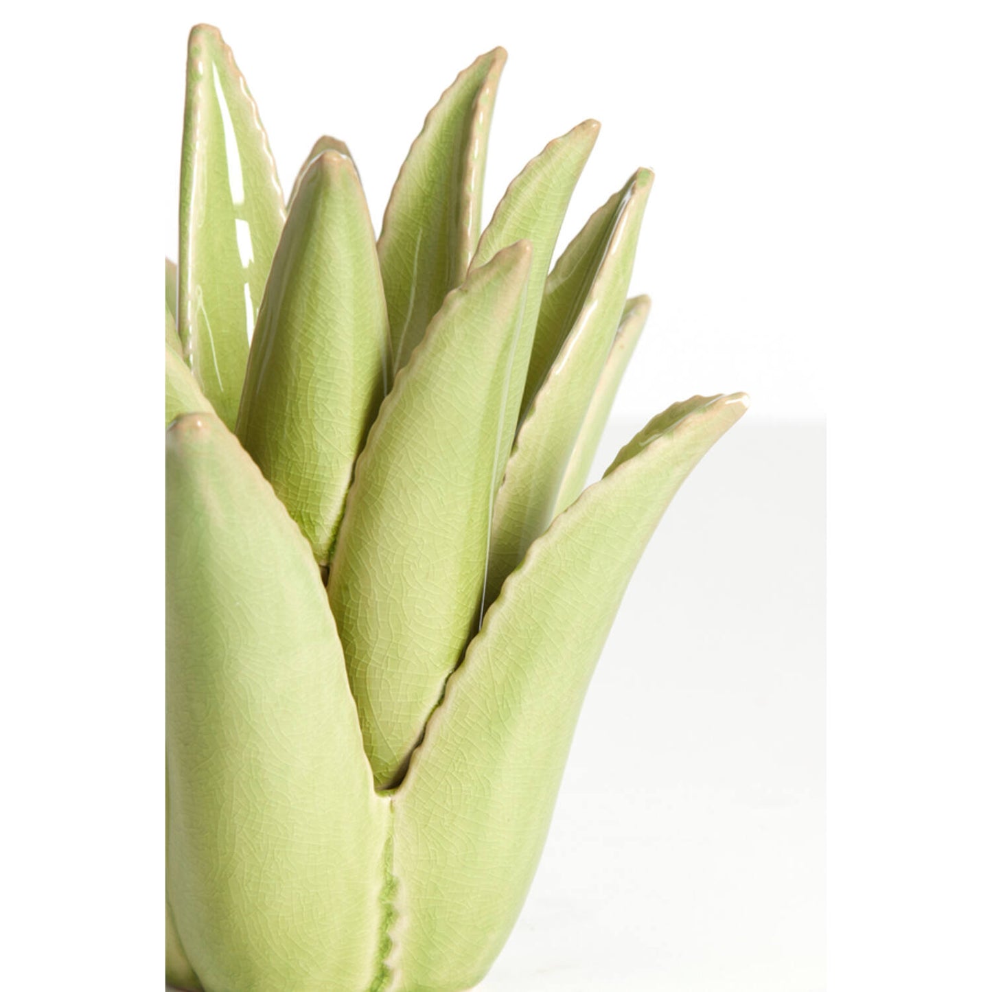 cactus theelight holder light green